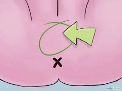 Illustration taint - Image 3