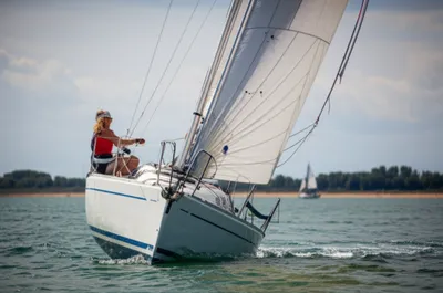 Illustration sheeting - Image 1