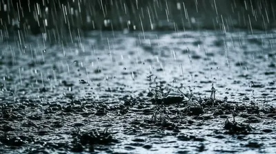 Illustration pour - Image 1