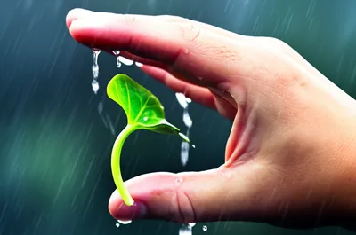 Illustration fend - Image 1