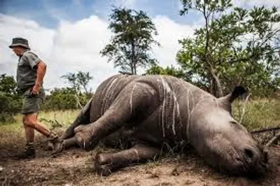 Illustration game - Image 2