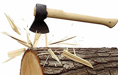 Illustration hatchet - Image 1