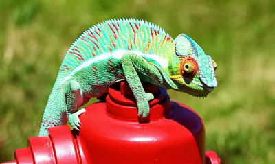 Illustration unapt - Image 1