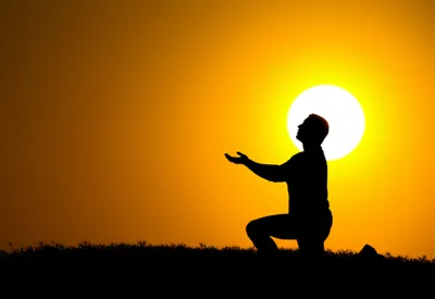 Illustration submissions