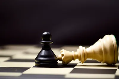 Illustration capturing - Image 1