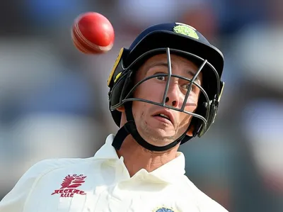 Illustration coconut - Image 1