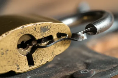 Illustration shims - Image 1