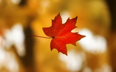 Illustration drop - Image 1