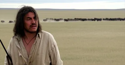 Illustration buffaloed