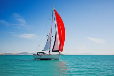 Illustration mule - Image 1