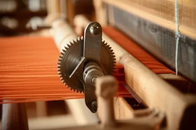 Illustration mousing - Image 1