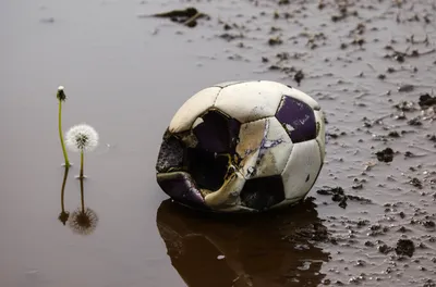 Illustration pants - Image 1