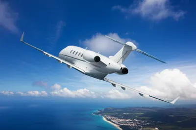 Illustration hop - Image 1