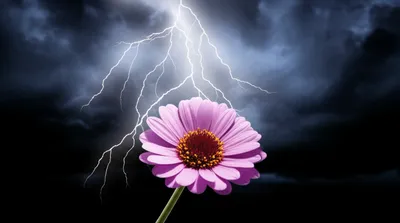 Illustration transients - Image 1