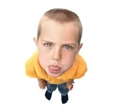 Illustration brat - Image 2