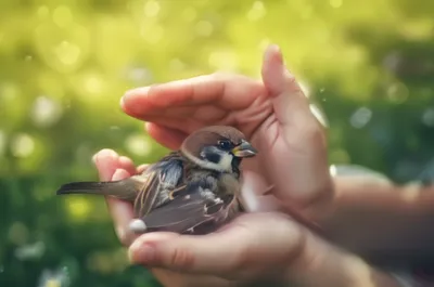 Illustration caring - Image 1