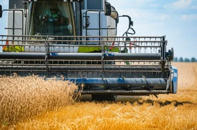 Illustration headers - Image 1