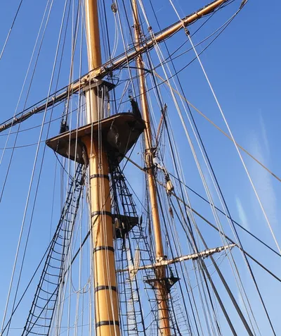 Illustration tongs - Image 1