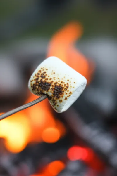 Illustration charred - Image 1