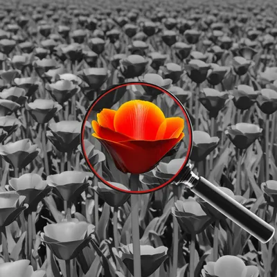 Illustration noticeably - Image 1