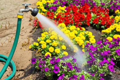 Illustration adder - Image 1