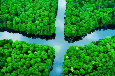 Illustration bifurcation