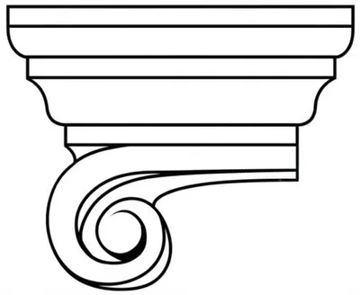 Illustration cyma - Image 1