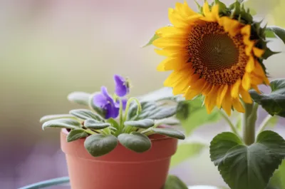 Illustration niceness - Image 1