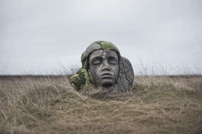 Illustration insensate - Image 1