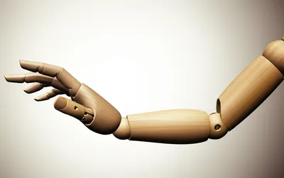 Illustration jointed - Image 1