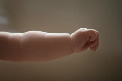 Illustration plica - Image 1