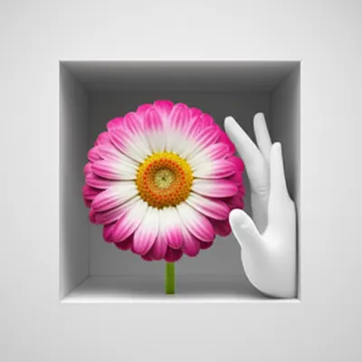 Illustration disallowed