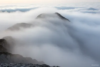 Illustration mantled - Image 1