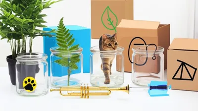 Illustration classifies