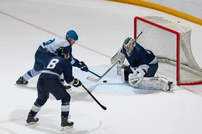 Illustration apples - Image 1