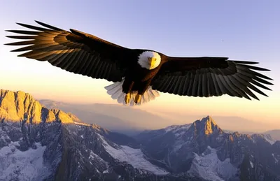 Illustration higher - Image 1