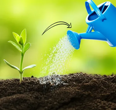 Illustration from - Image 1