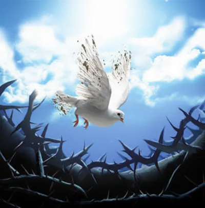 Illustration unredeemed