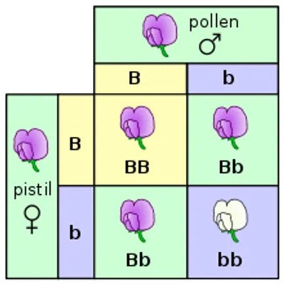 Illustration expression - Image 2