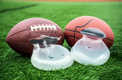 Illustration bladders - Image 1