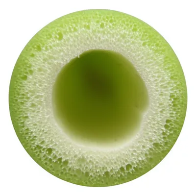 Illustration reed - Image 1