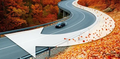 Illustration reversing - Image 1