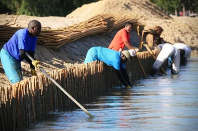 Illustration fascine - Image 1