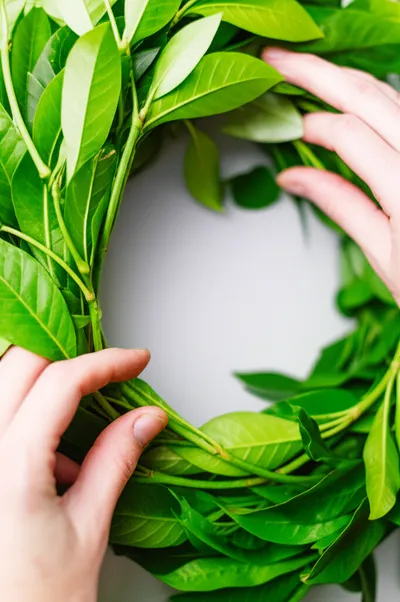 Illustration wreathe - Image 2