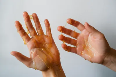 Illustration clam - Image 1