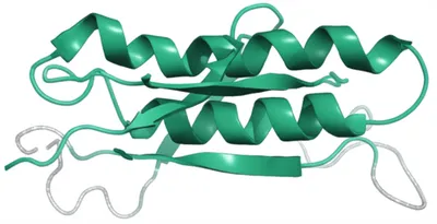 Illustration loop - Image 1