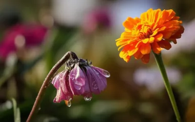 Illustration crying - Image 1