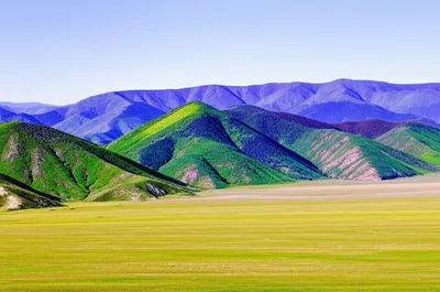 Illustration flattens - Image 1