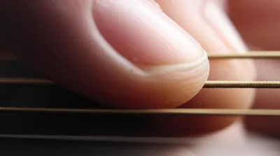 Illustration pluck - Image 1