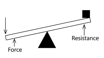 Illustration pivoted - Image 1